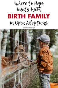 Where to Have Visits with Birth Family in Open Adoptions