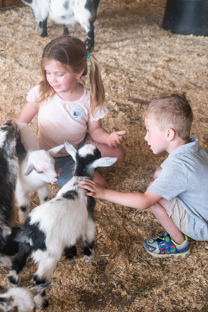 Green Meadows Petting Farm