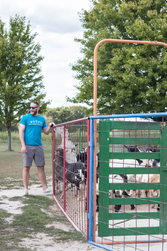 Green Meadows Petting Farm