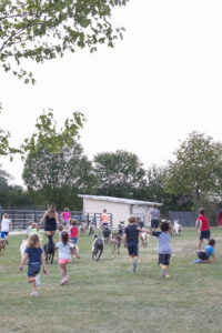 Green Meadows Petting Farm