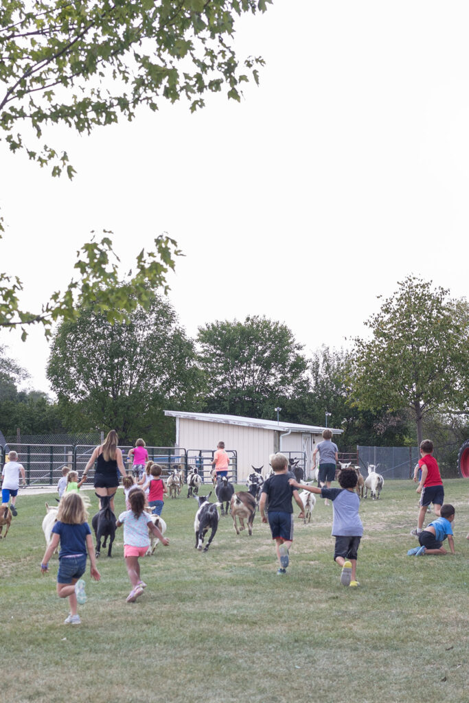 Green Meadows Petting Farm