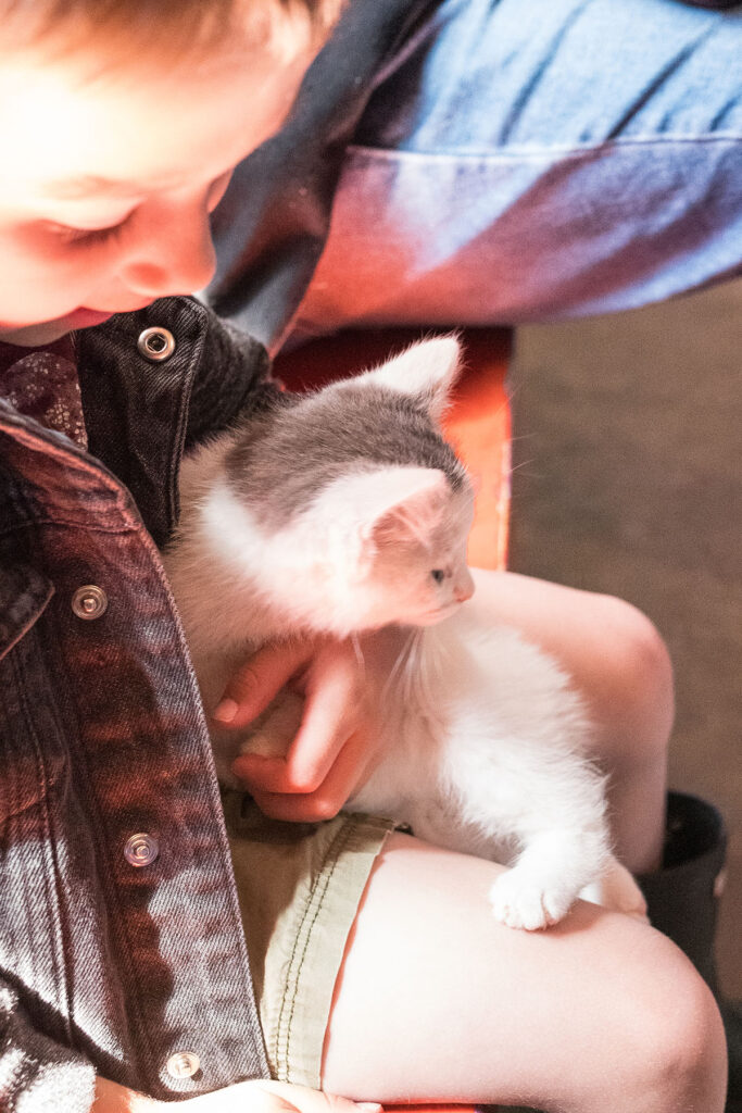 Green Meadows Petting Farm