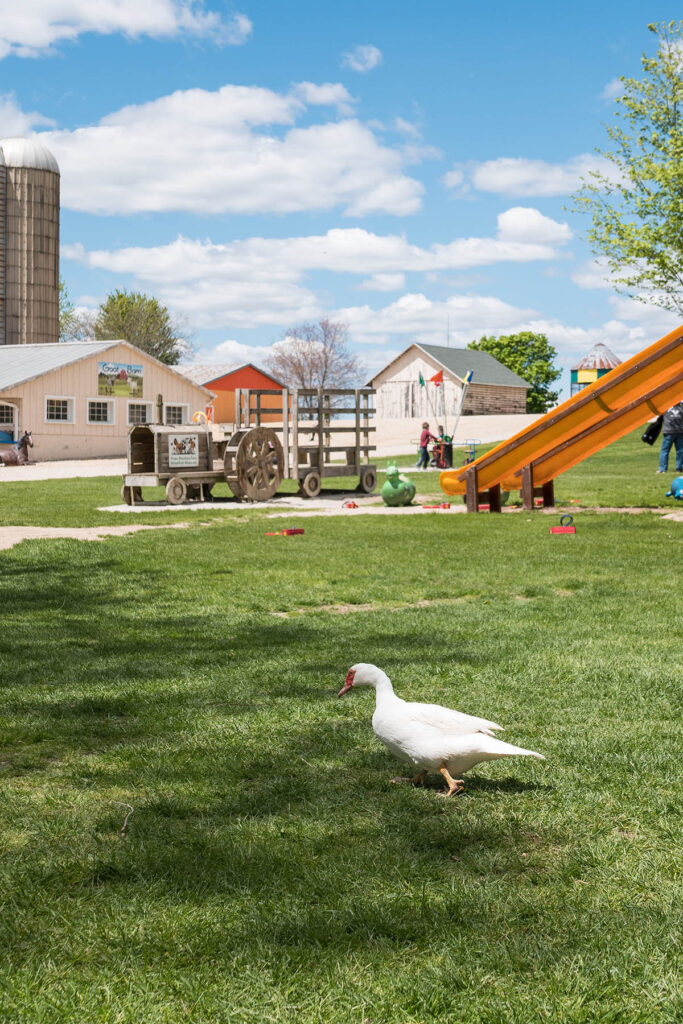 Green Meadows Petting Farm, East Troy, Wisconsin