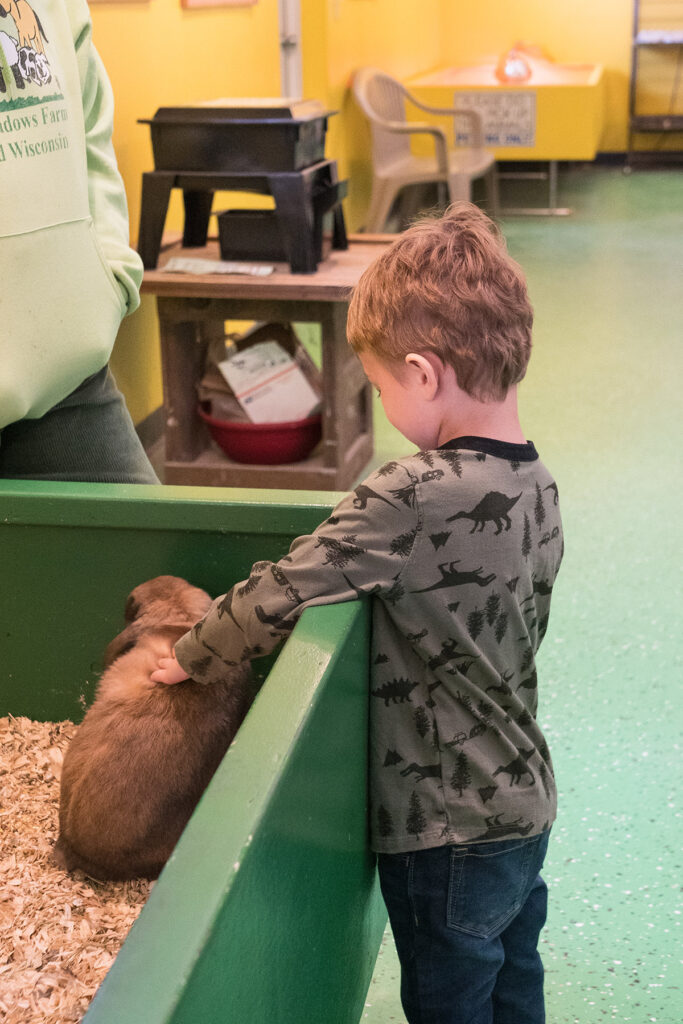 Green Meadows Petting Farm