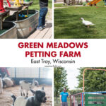 Green Meadows Petting Farm
