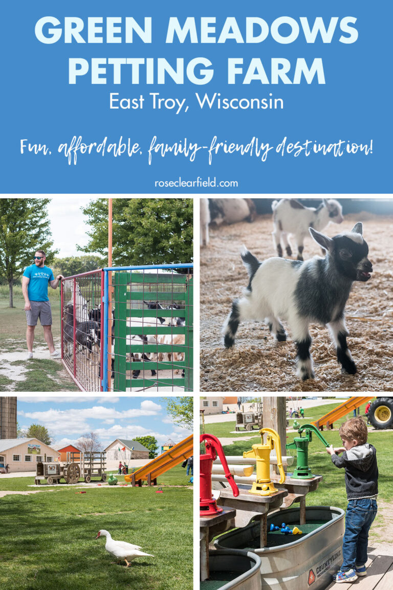 Green Meadows Petting Farm • Rose Clearfield