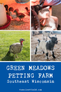 Green Meadows Petting Farm