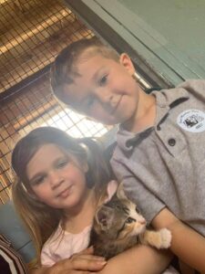 Green Meadows Petting Farm