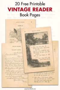 20 Free Printable Vintage Reader Book Pages