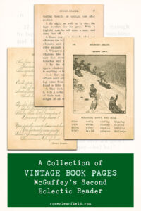 A Collection of Vintage Book Pages McGuffey's Second Eclectic Reader copy