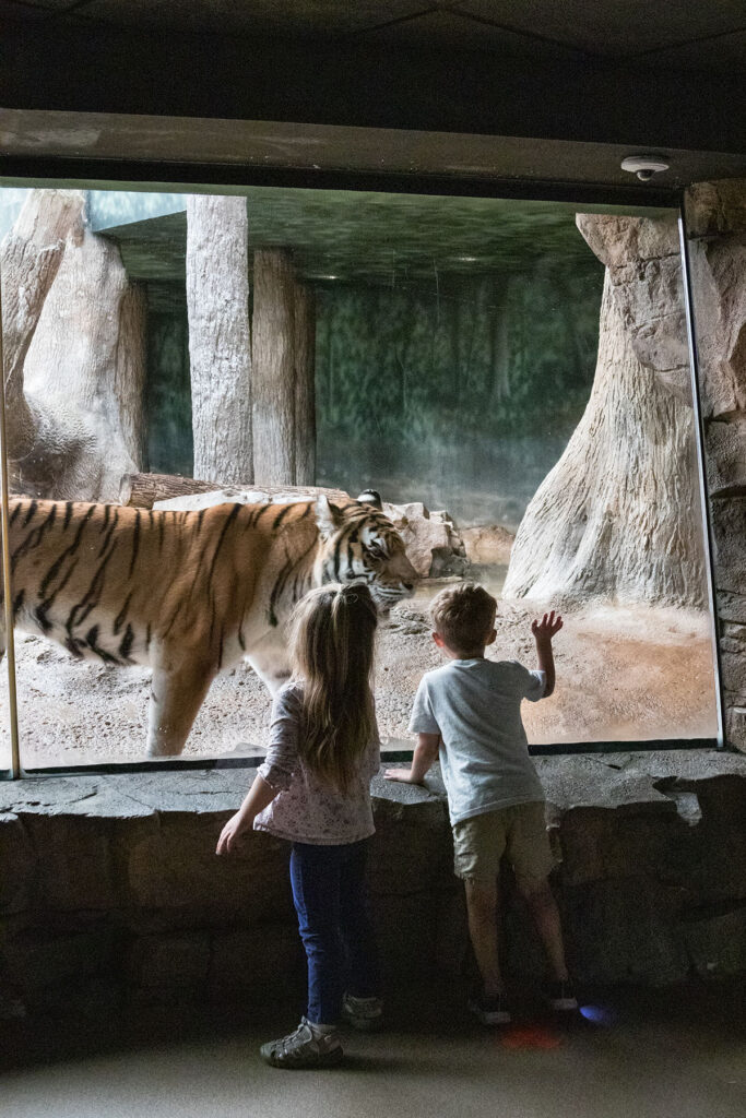 Tommy and Elizabeth Milwaukee Zoo