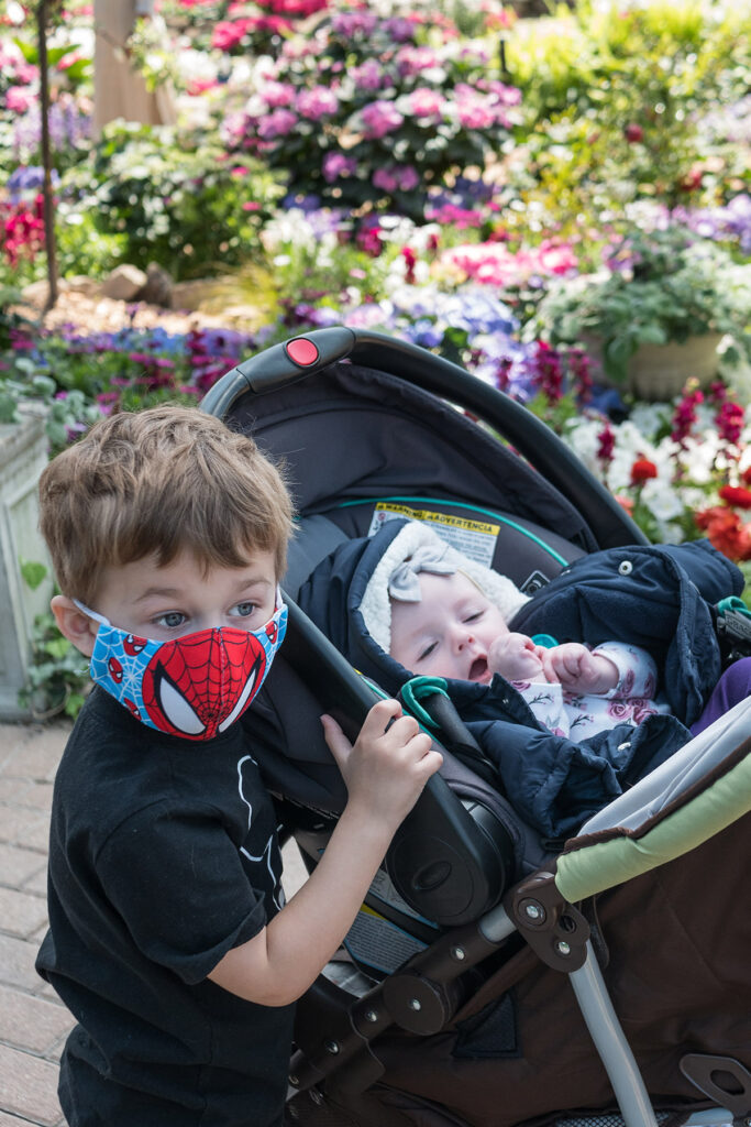 Tommy and Olivia Seasons of Legend Domes Spring Floral Show