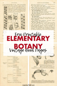 Free Printable Elementary Botany Vintage Book Pages