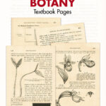 Free Printable Vintage Elementary Botany Textbook Pages