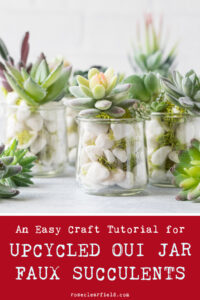 An Easy Craft Tutorial for Upcycled Oui Jar Faux Succulents
