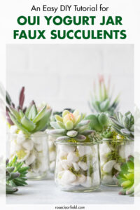 An Easy DIY Tutorial for Oui Yogurt Jar Faux Succulents
