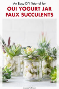 An Easy DIY Tutorial for Oui Yogurt Jar Faux Succulents