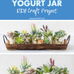 Faux Succulents Glass Yogurt Jar DIY Craft Project