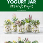 Faux Succulents Glass Yogurt Jar DIY Craft Project