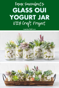 Faux Succulents Glass Yogurt Jar DIY Craft Project