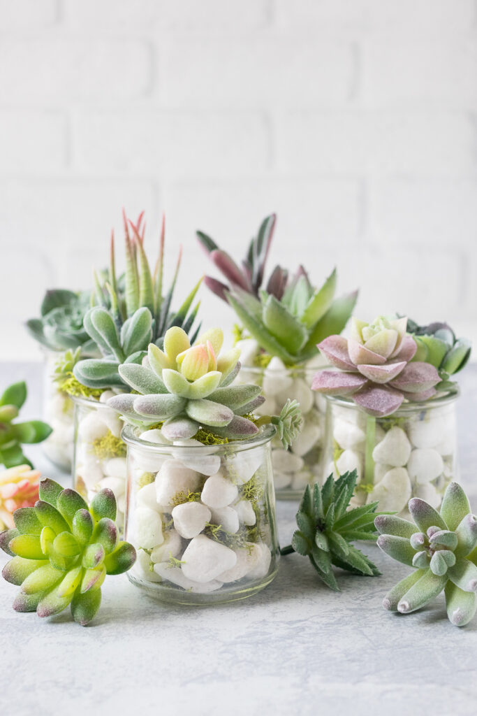 Oui Yogurt Jar Faux Succulents