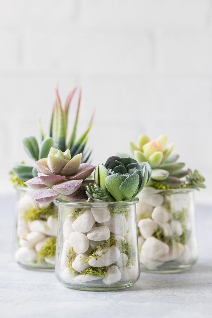 Recycled Oui Yogurt Jar Faux Succulents