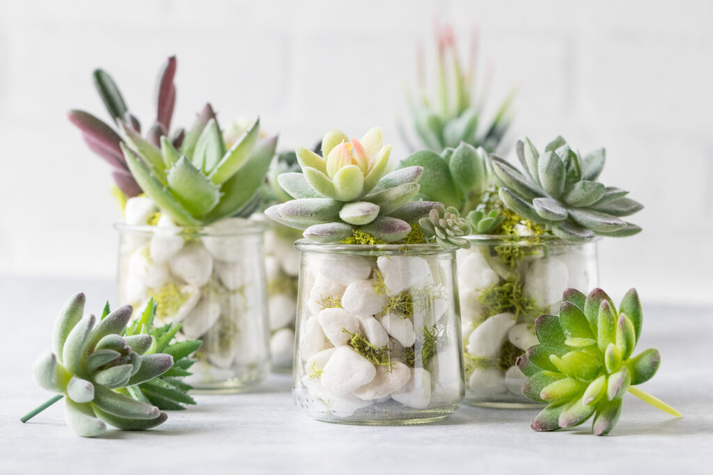 Recycled Oui Yogurt Jar Faux Succulents