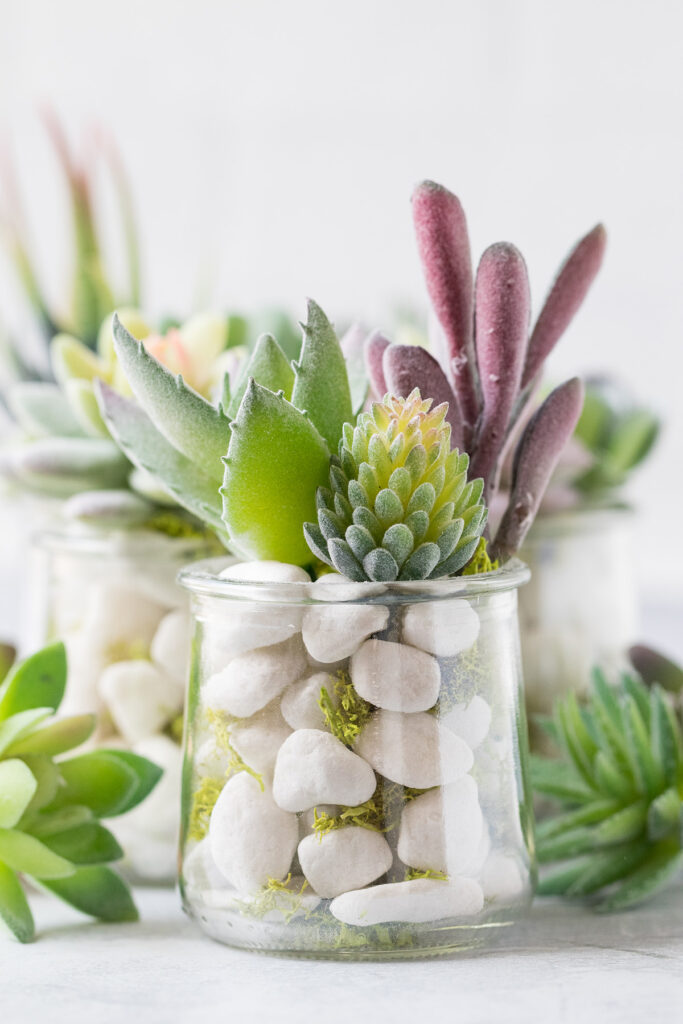 DIY Oui Yogurt Jar Faux Succulents