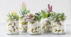 Upcycled Oui Yogurt Jar Faux Succulents