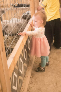 Olivia Baby Animals