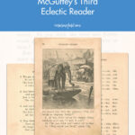 26 Vintage Book Pages McGuffey's Third Eclectic Reader