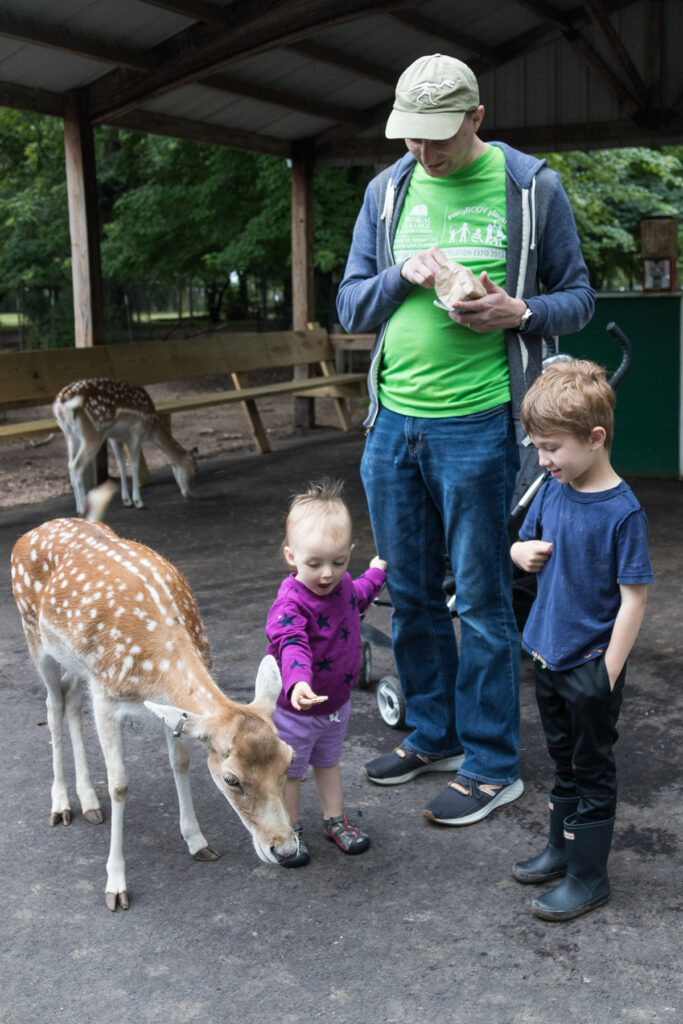 Family Feeding the Deer