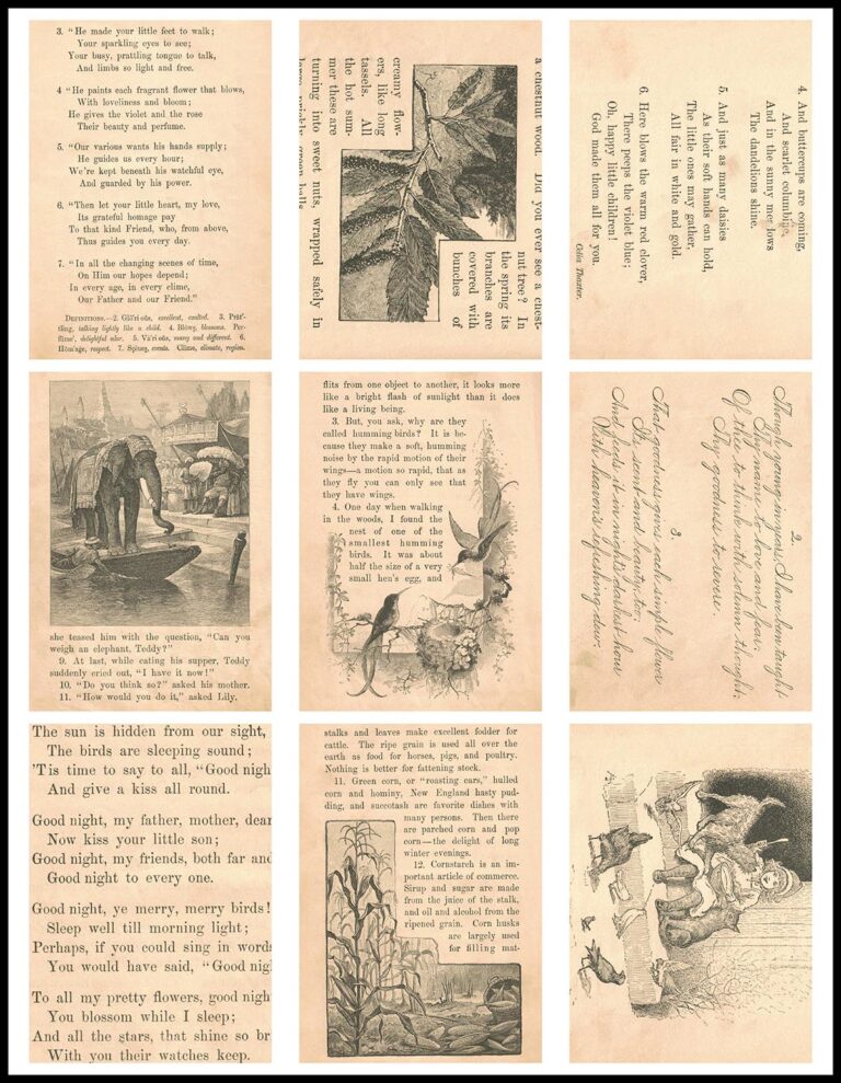 Free Printable McGuffey's Third Eclectic Reader Pages • Rose Clearfield