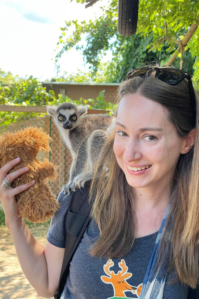 Baby Lemur