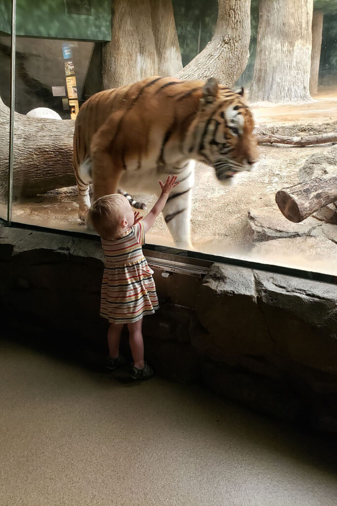 Olivia with Tiger