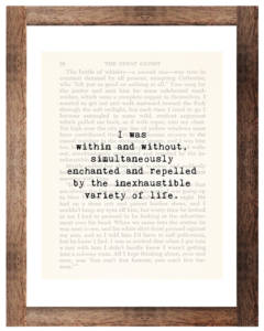 The Great Gatsby F. Scott Fitzgerald 1953 Pg. 36 Variety of Life Quote Framed