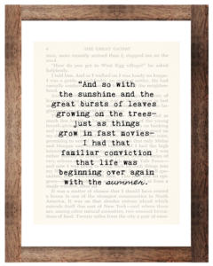 The Great Gatsby F. Scott Fitzgerald 1953 Pg. 4 Summer Quote Framed