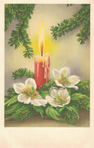 Vintage Postcard Christmas Candle in White Flowers