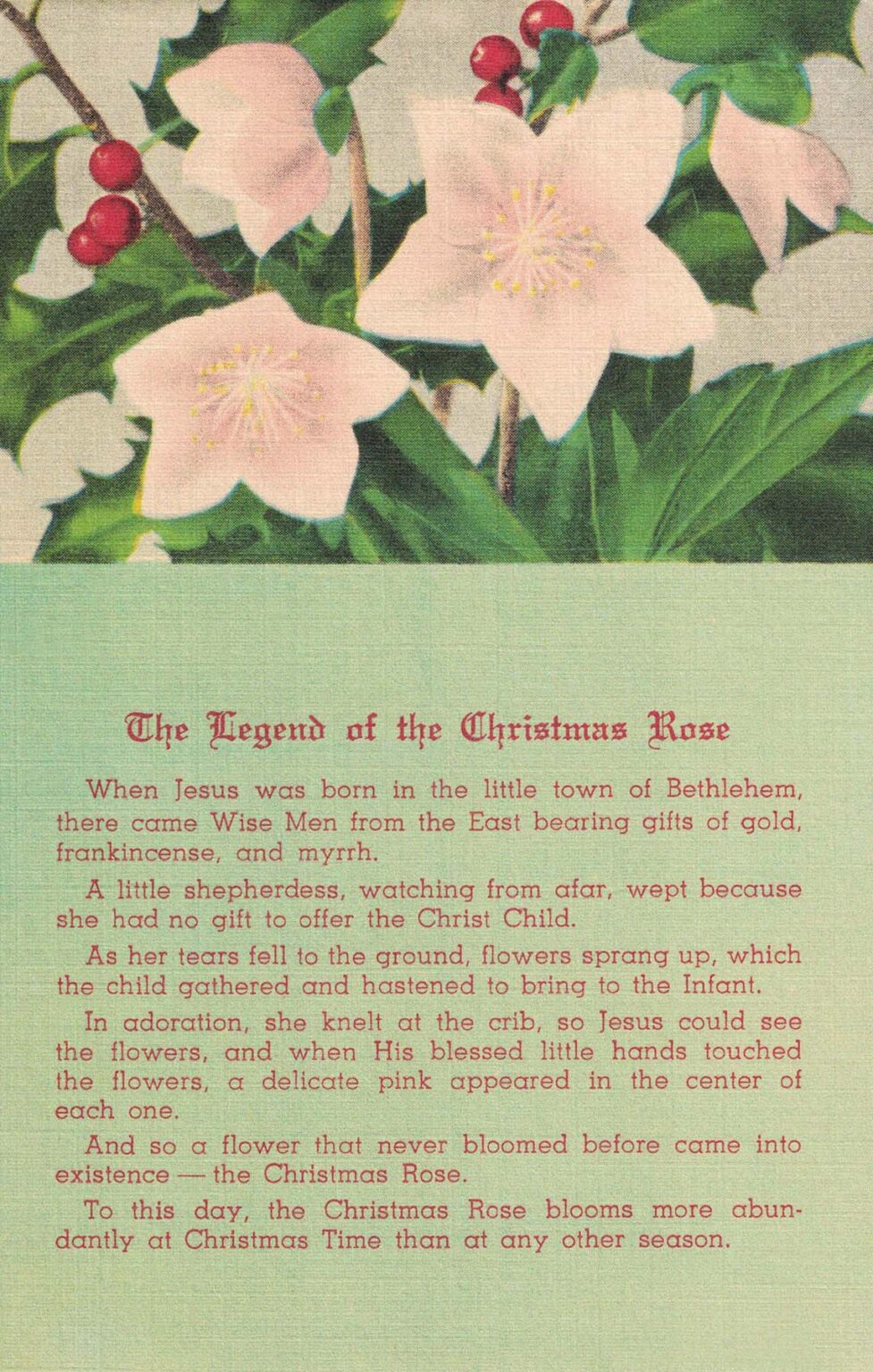 Free Printable Christmas Roses Free Printable Vintage Christmas Postcards - Rose Clearfield