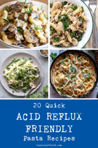 20 Quick Acid Reflux Friendly Pasta Recipes