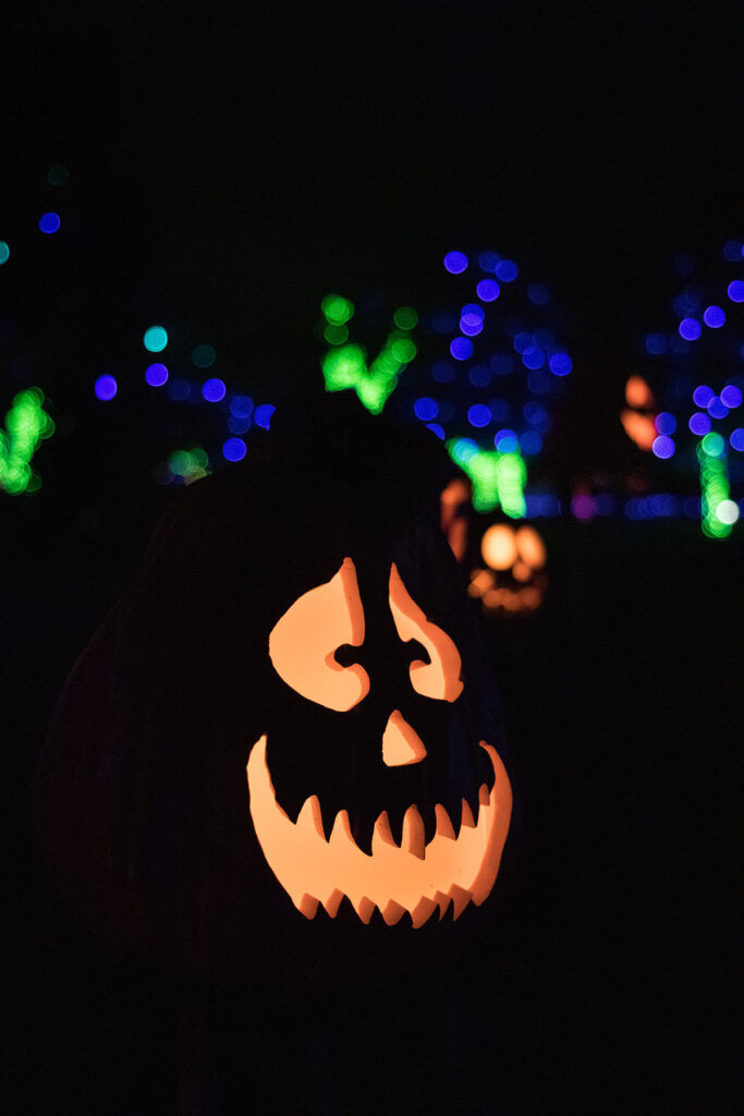 Racine Zoo Jack 'o Lantern Lights