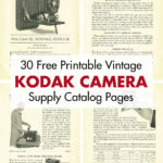 30 Free Printable Kodak Camera Supply Catalog Pages