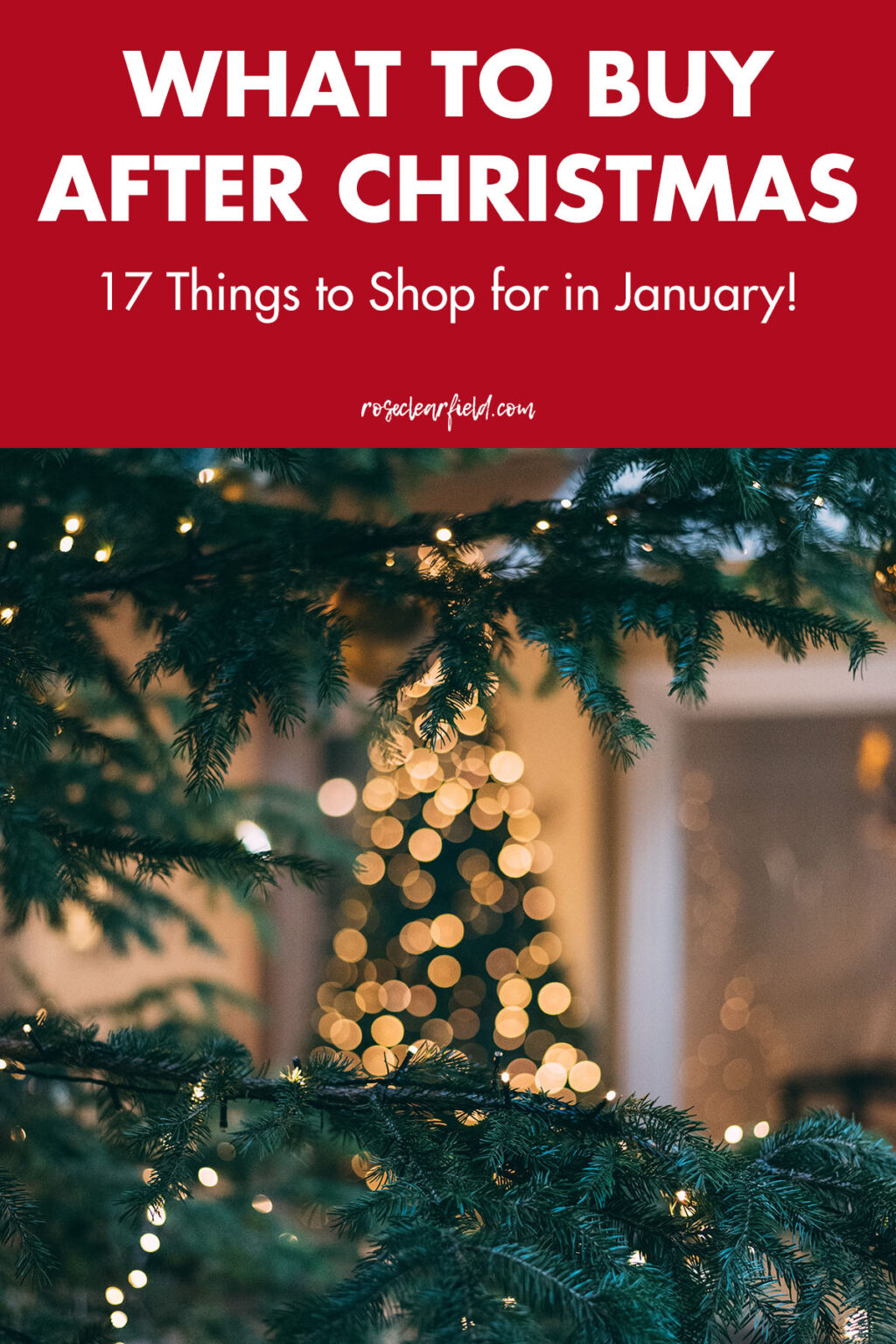 The 17 Best Things to Buy After Christmas • Rose Clearfield