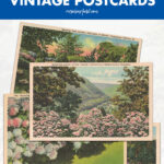 27 Free Printable Floral Vintage Postcards