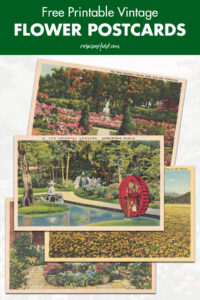 Free Printable Vintage Flower Postcards