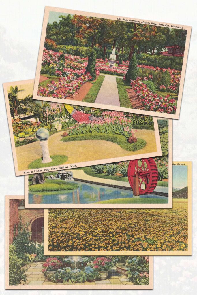 Free Printable Vintage Flower Postcards Preview