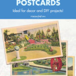 Free Vintage Flower Postcards