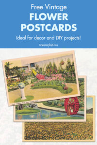 Free Vintage Flower Postcards