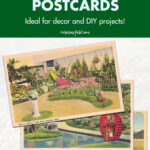Free Vintage Flower Postcards