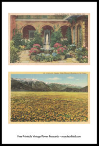 Vintage Flower Postcards 8.5x11 Pages Preview